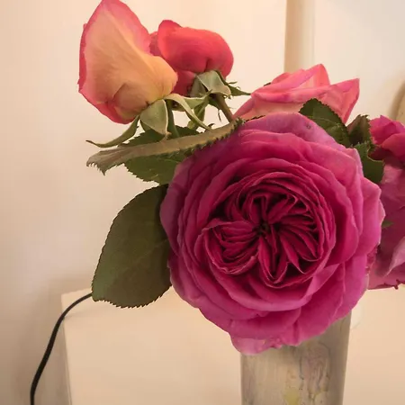 Le Colibri * Plaisance-du-Touch