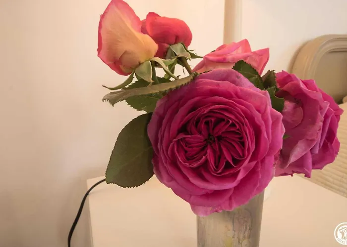 Le Colibri * Plaisance-du-Touch